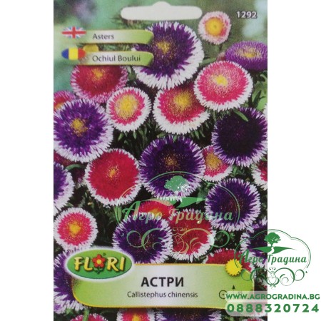 Астри Двуцветни