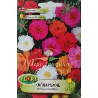 Калдаръмче смес