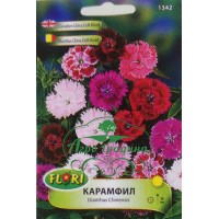 Карамфил мини Чайна Дол