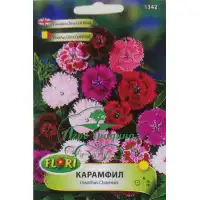 Карамфил мини Чайна Дол