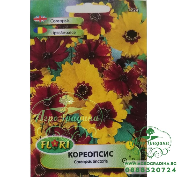 Кореопсис (Жълтичка)