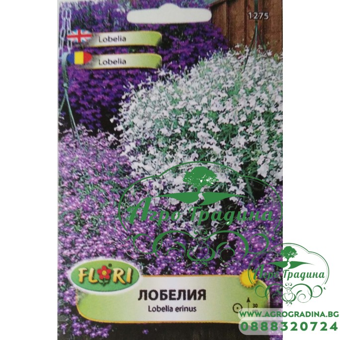 Лобелия микс
