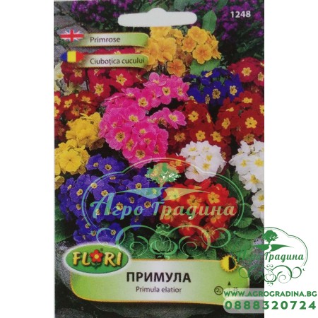 Примула (Иглика) смес