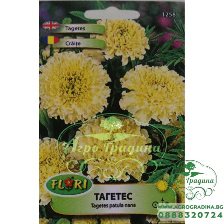 Тагетес бял