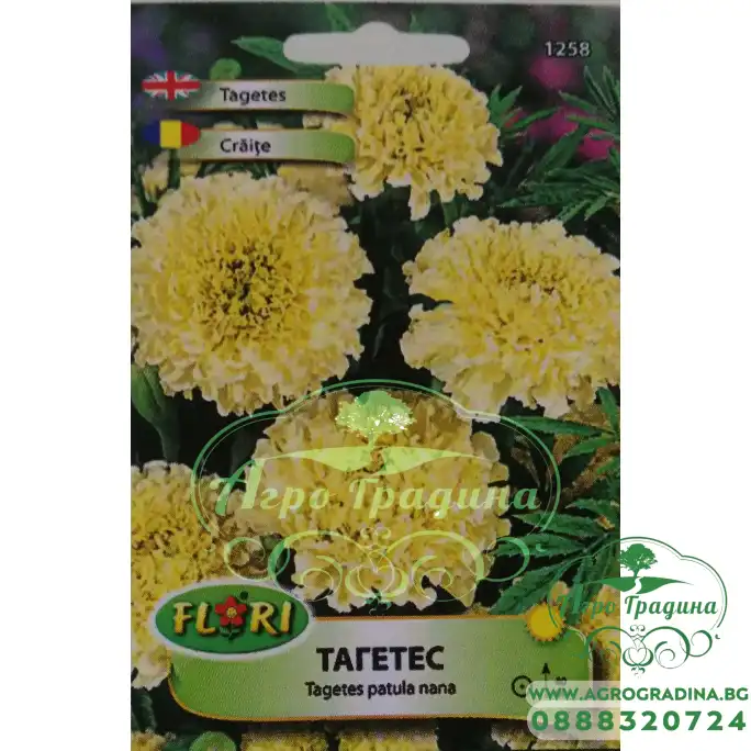 Тагетес бял