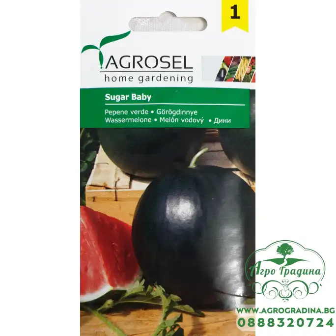Диня Шугър Бейби