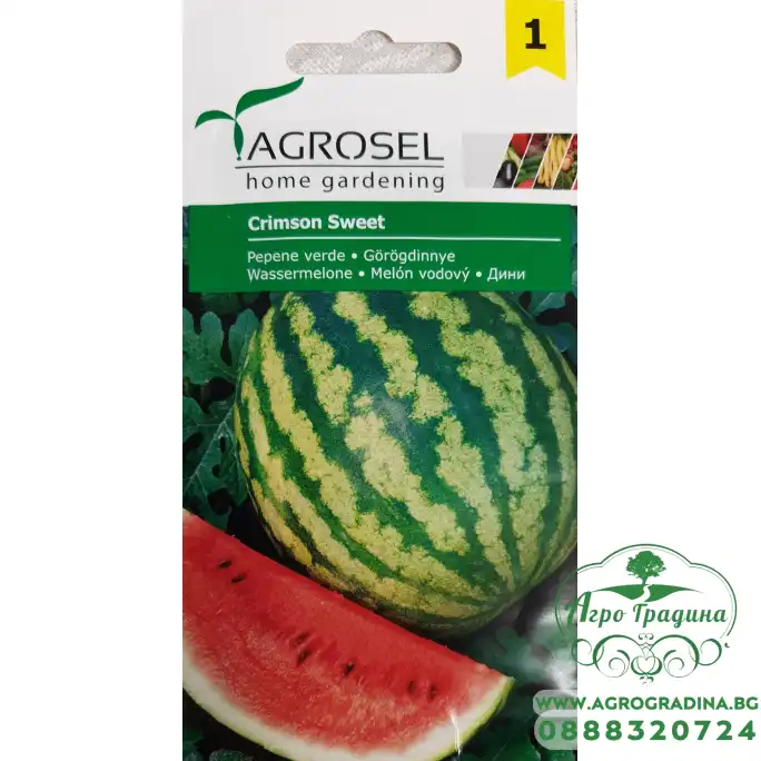 Диня Кримсон суит