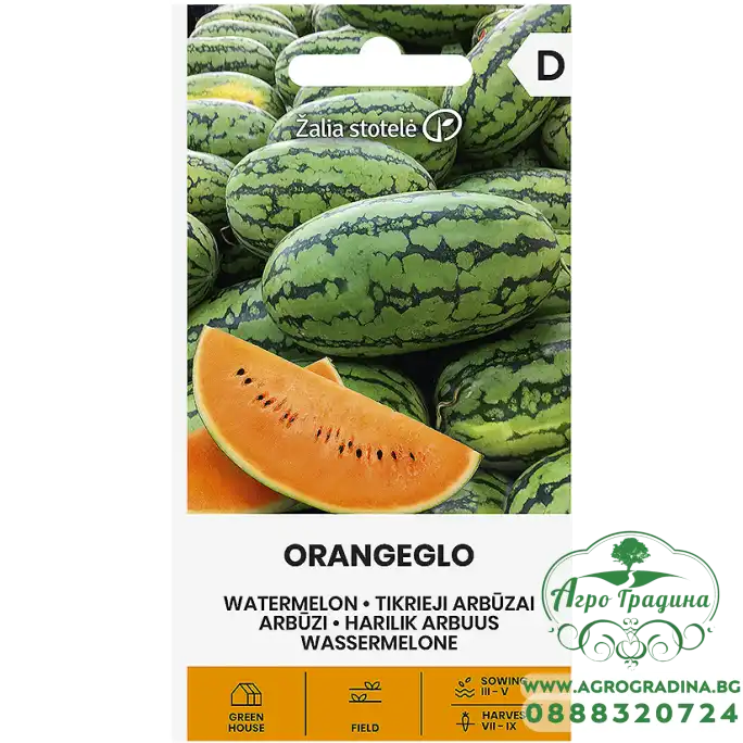 Диня Портокалова Оранжело Solanum melongena L.