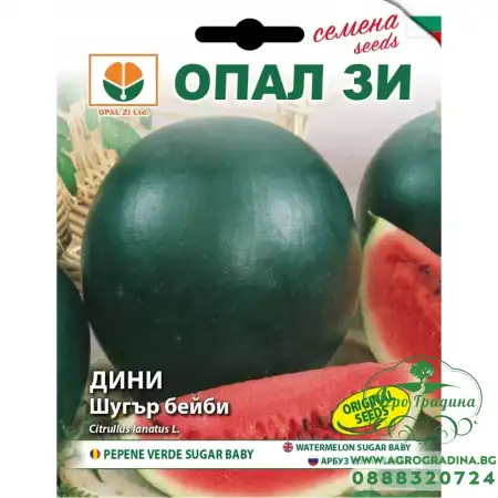 Диня Шугър Бейби