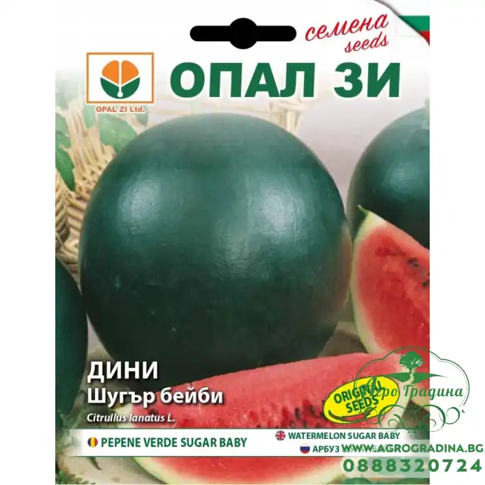 Диня Шугър Бейби