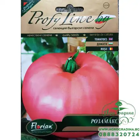 Домат Розамакс - Нов Български сорт с много едри плодове (до 1,5 кг)
