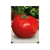 Възвръщане на Българският вкус домати - домат Български трапезен