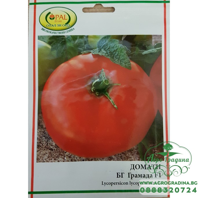 Домат БГ Грамада F1 - нов български сорт Домат БГ Грамада F1 - нов български сорт