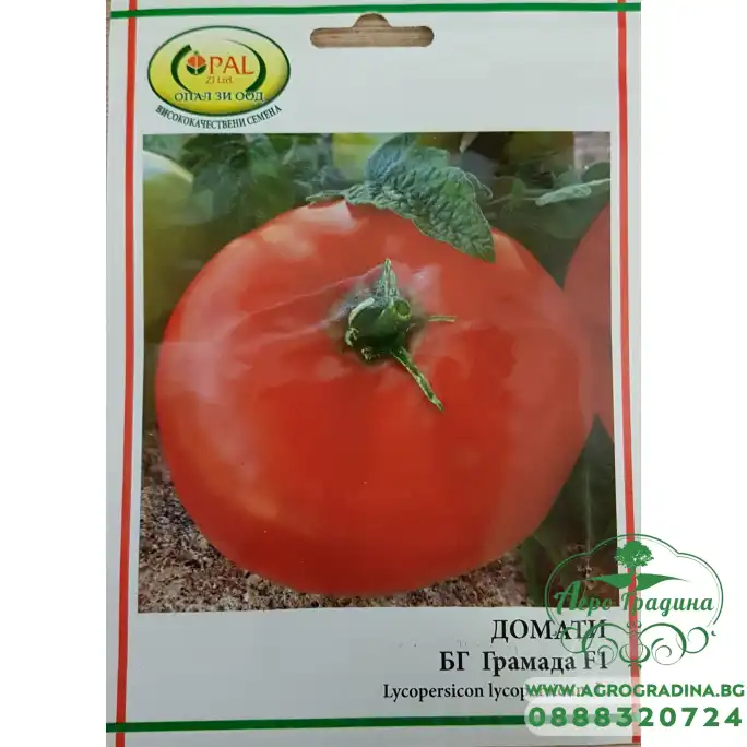 Домат БГ Грамада F1 - нов български сорт
