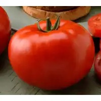Домати Биг Бийф F1