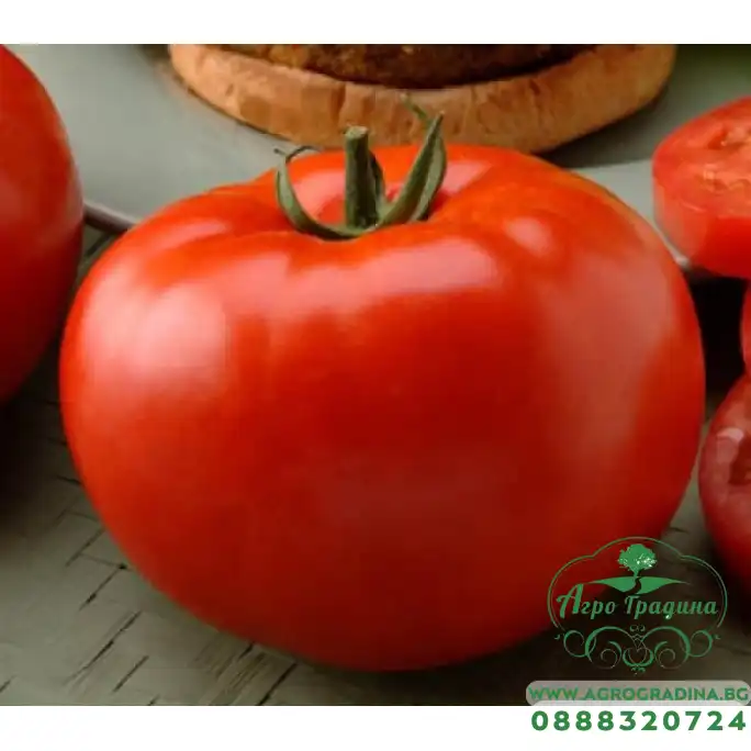 Домати Биг Бийф F1
