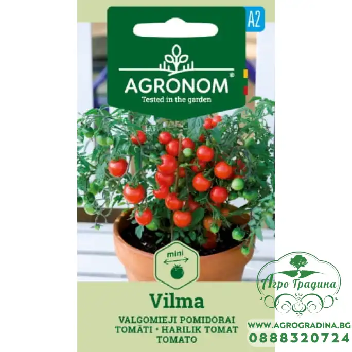 Домат Балконски Вилма Vilma