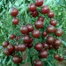 Чери домати Черни (Блек чери) / Bleck Cherry