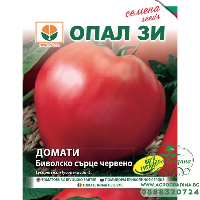 Домат Биволско сърце червено