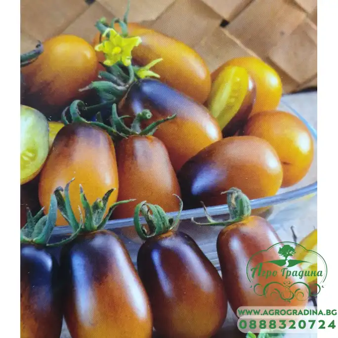 Домат чери Индиго пиър дропс