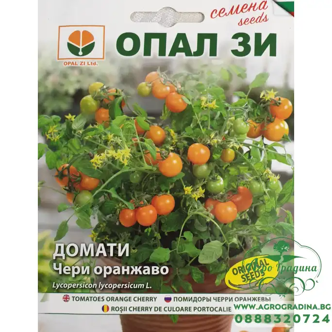 Домат Чери оранжево