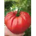 Домат Червен градински
