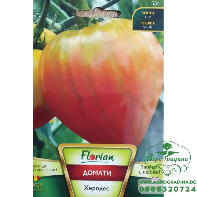 Домат Херодес - НОВ СОРТ