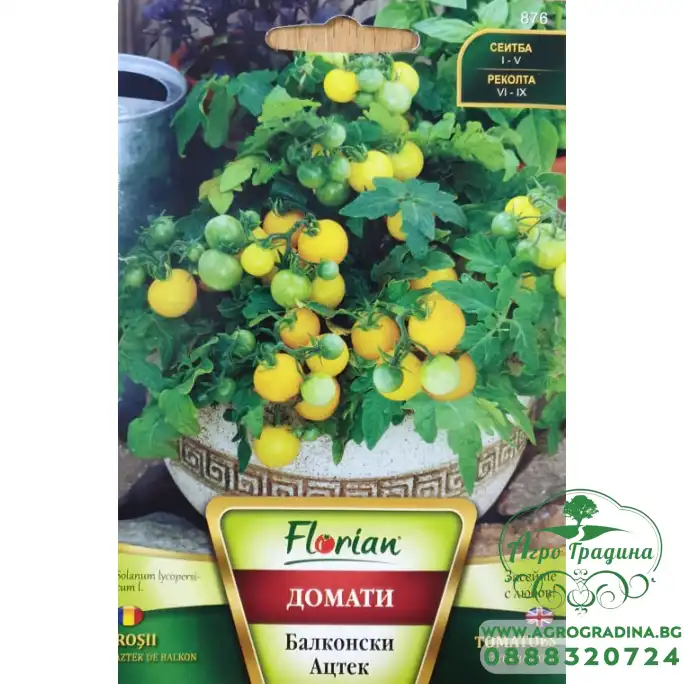 Домат Балконски сорт Ацтек - НОВ СОРТ
