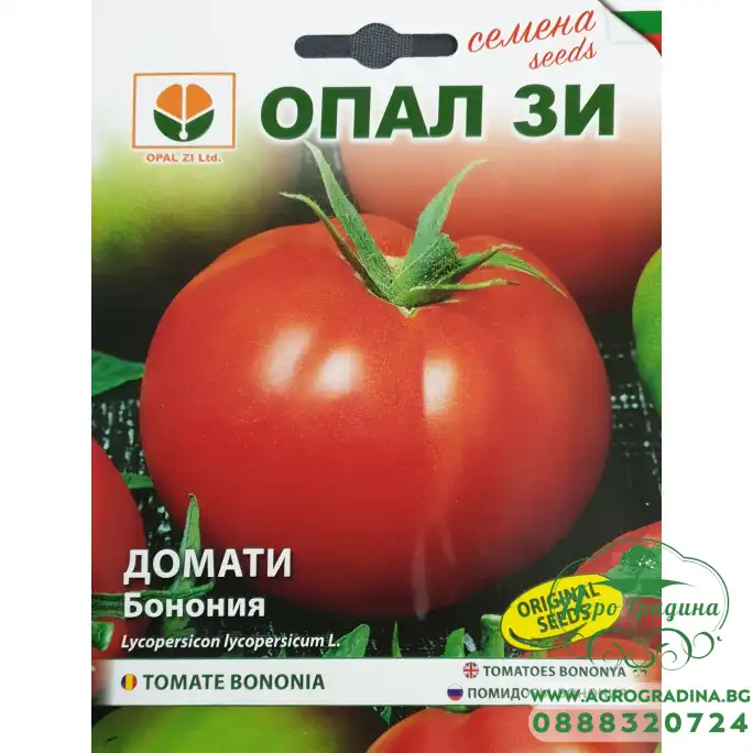 Домат Бонония