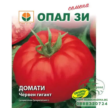 Домат Червен гигант - Български сорт