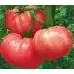 Домат розов гигант Чичио Ciccio
