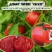 Домат розов гигант Чичио Ciccio
