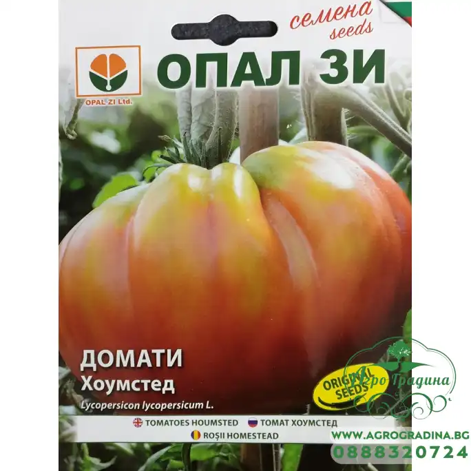 Домат Хоумстед