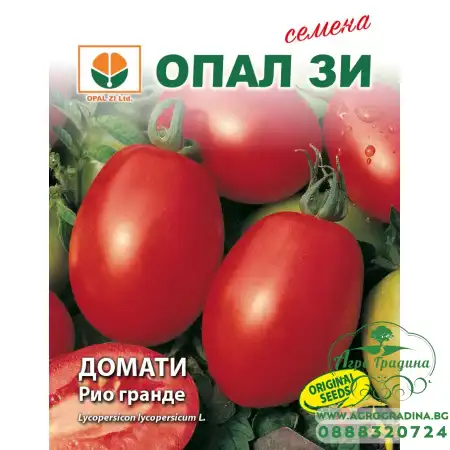 Домат Рио Гранде