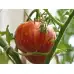 Домати Тигерела