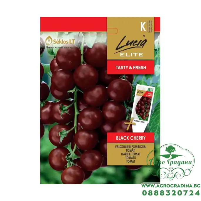 Чери домати Черни (Блек чери) Bleck Cherry