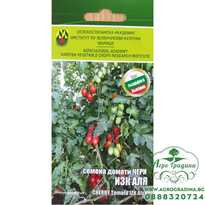 Домати чери червено АЛЯ ИЗК Марица