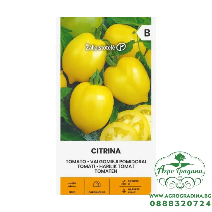 Домати Цитрина (лимонови) Citrina Домати Цитрина (лимонови) Citrina