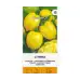 Домати Цитрина (лимонови) Citrina