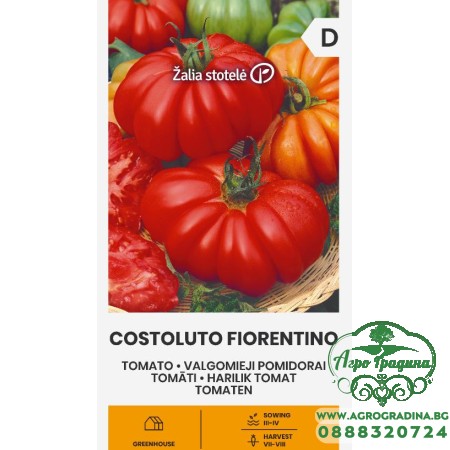 Домат Костолуто Фиорентино Costoluto Fiorentino