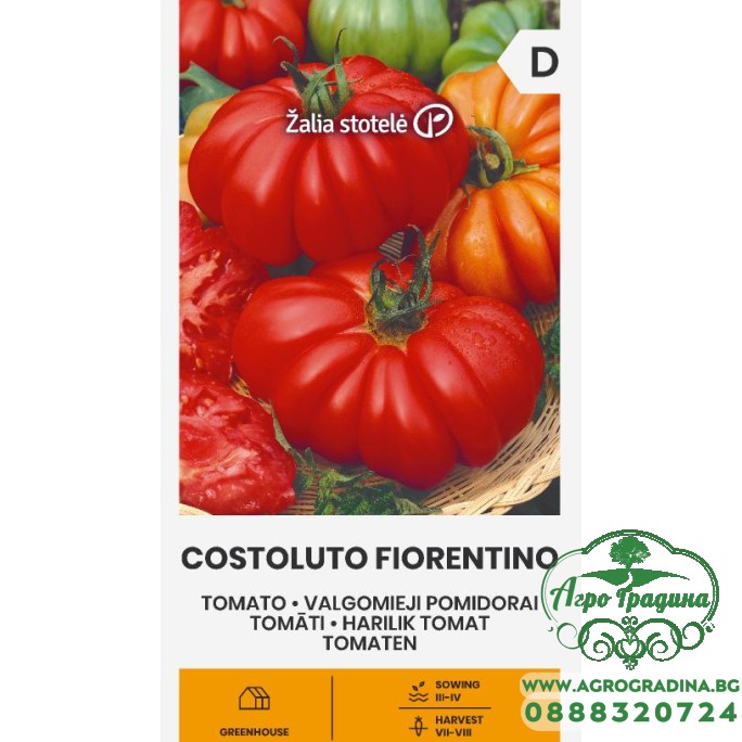 Домат Костолуто Фиорентино Costoluto Fiorentino Домат Костолуто Фиорентино Costoluto Fiorentino