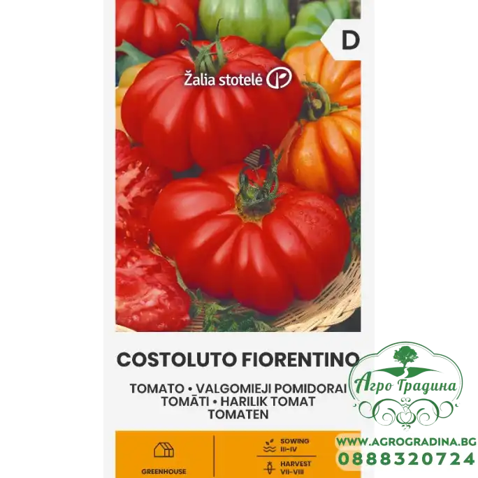 Домат Костолуто Фиорентино Costoluto Fiorentino Домат Костолуто Фиорентино Costoluto Fiorentino