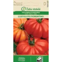 Домат Костолуто Фиорентино / Costoluto Fiorentino