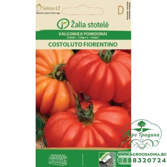 Домат Костолуто Фиорентино / Costoluto Fiorentino