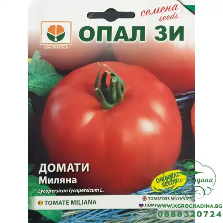 Домати Миляна