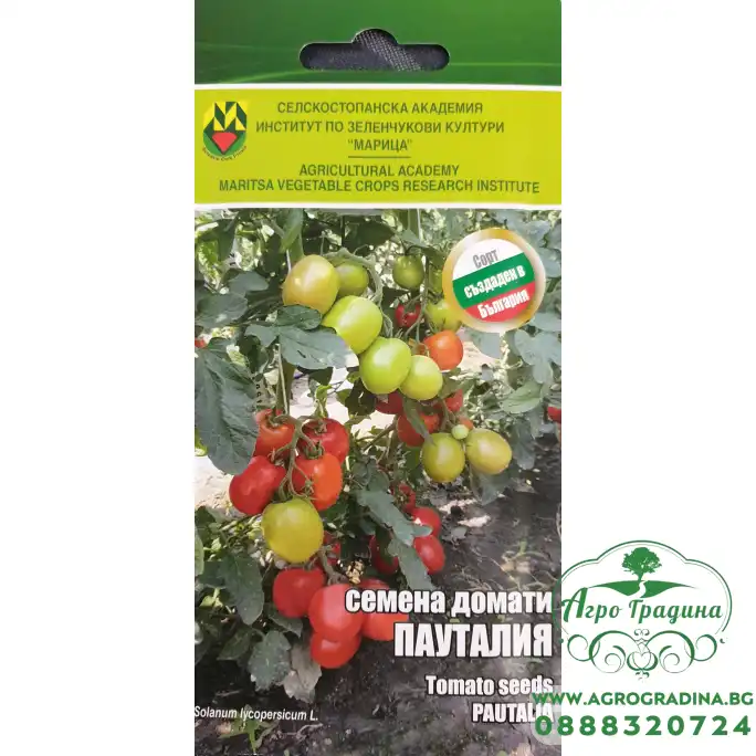 Домати Пауталия ИЗК Марица