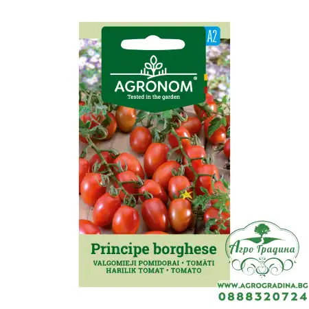 Домат чери принципе тип Кампари / Principe borghese