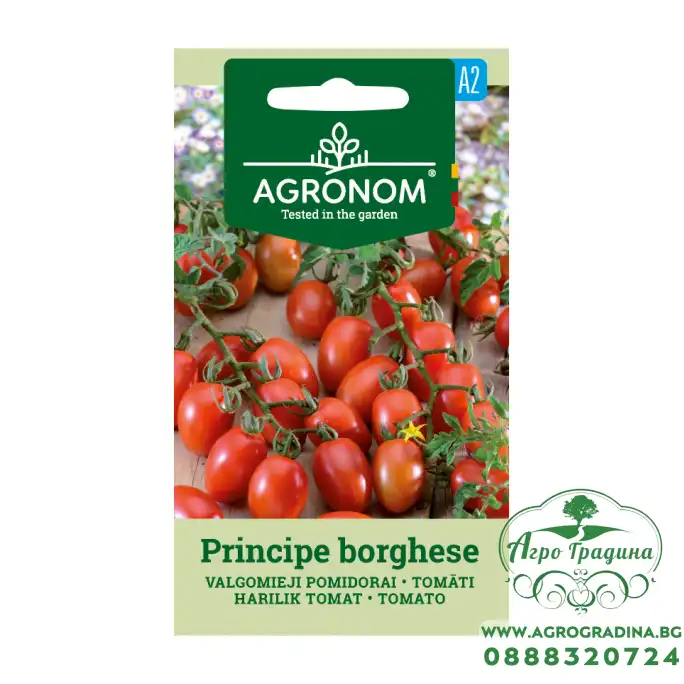 Домат чери принципе тип Кампари / Principe borghese