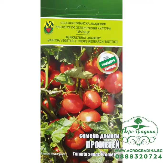 Домати Прометей ИЗК Марица