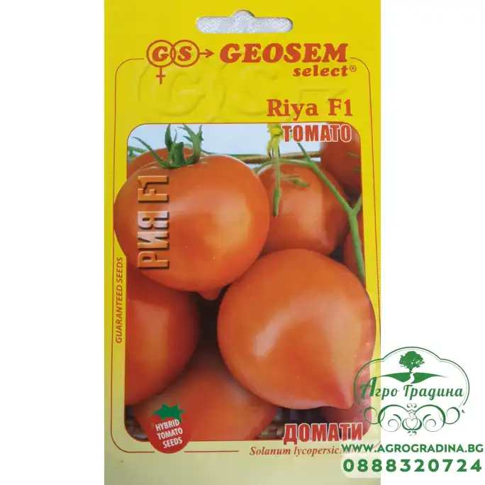 Домати Рия Riya F1 Домати Рия Riya F1